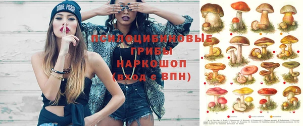 дурь Аркадак