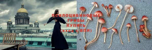 дурь Аркадак