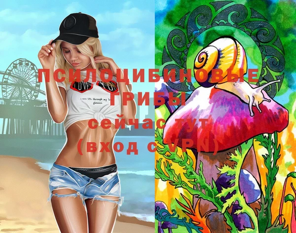дурь Аркадак