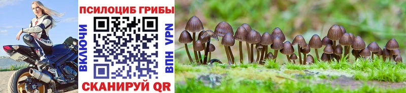 Галлюциногенные грибы MAGIC MUSHROOMS Кувшиново